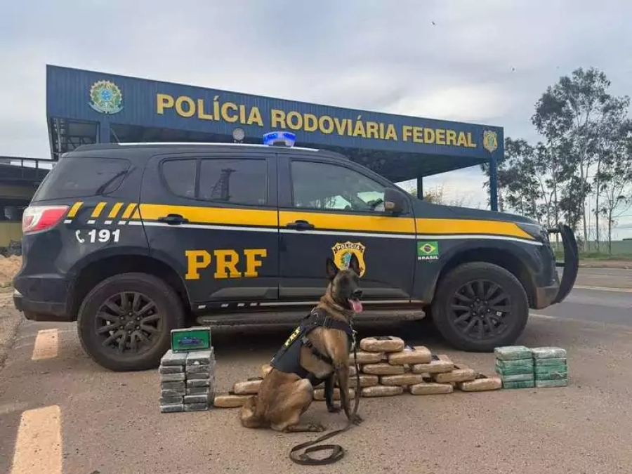 Ministério Público recorre contra soltura de caminhoneiro flagrado com drogas na BR-364